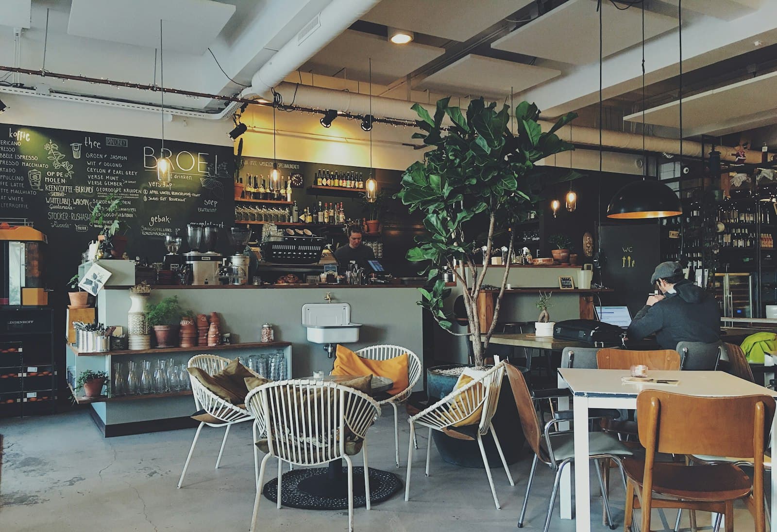 A café interior with counter, plants and seating