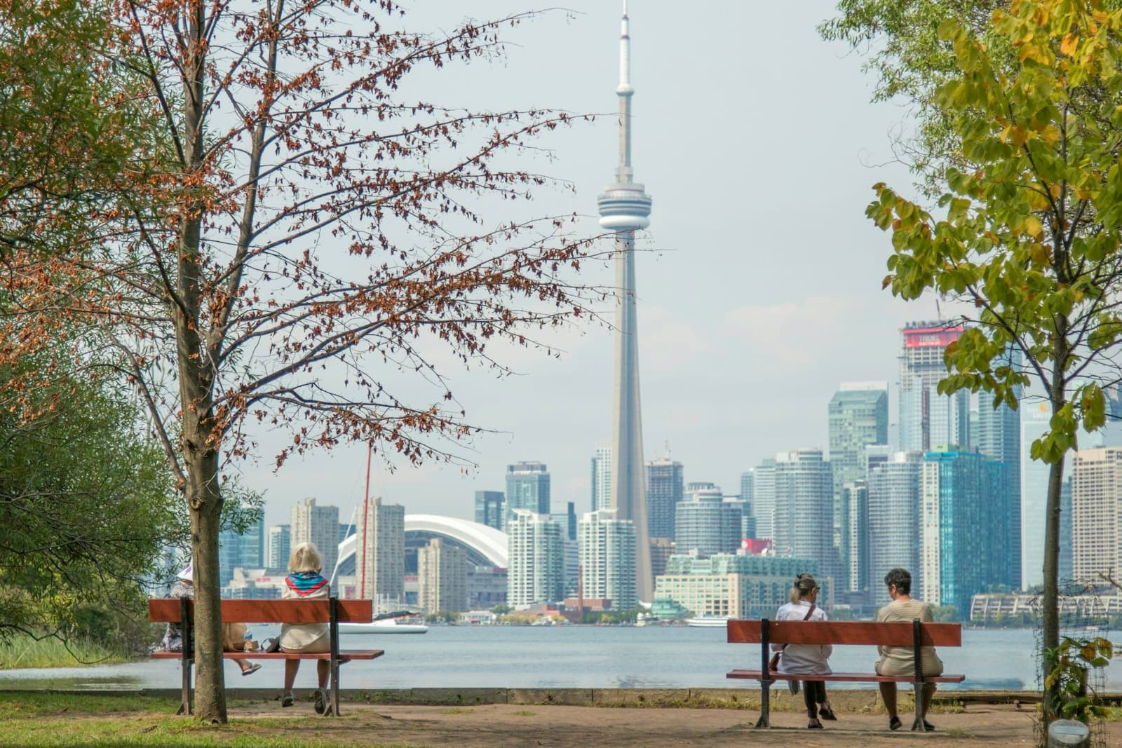 Toronto skyline seen across the water from an island park